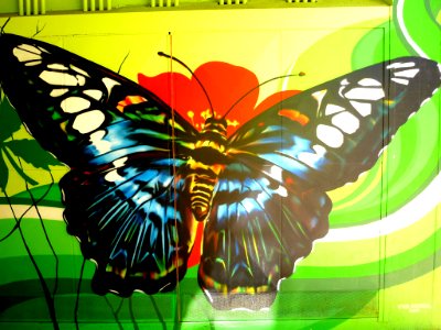 Vitoria - Graffiti & Murals 1289