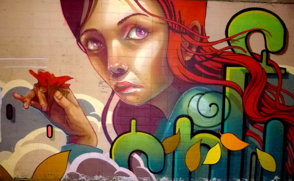 Vitoria - Graffiti & Murals 1264 11