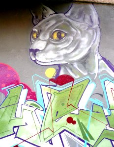Vitoria - Graffiti en el barrio de Adurza 06