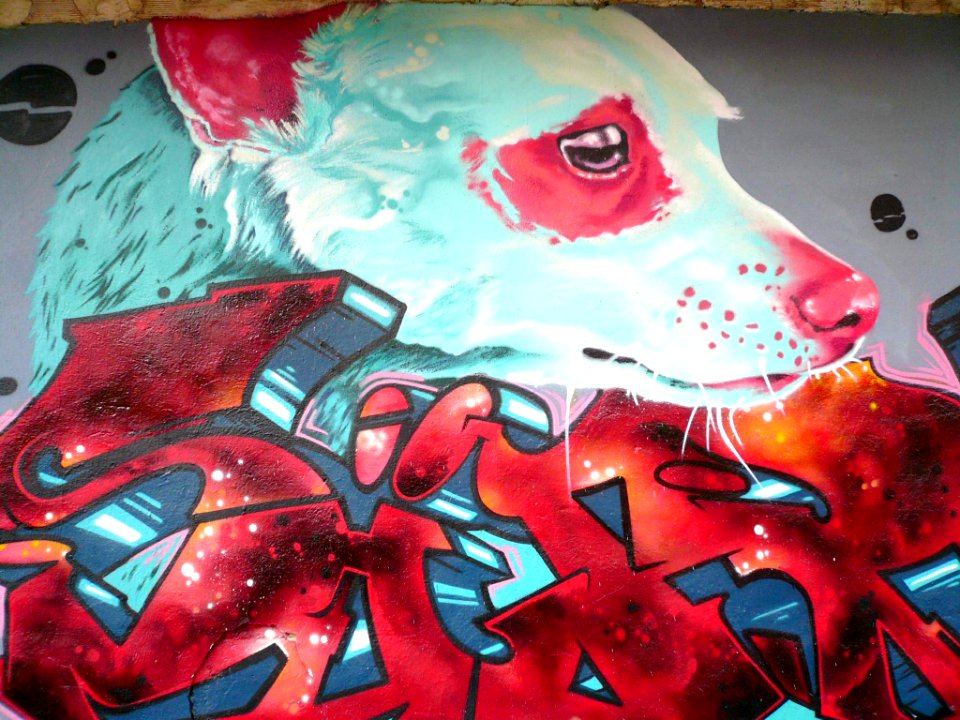 Vitoria - Graffiti en el barrio de Adurza 02