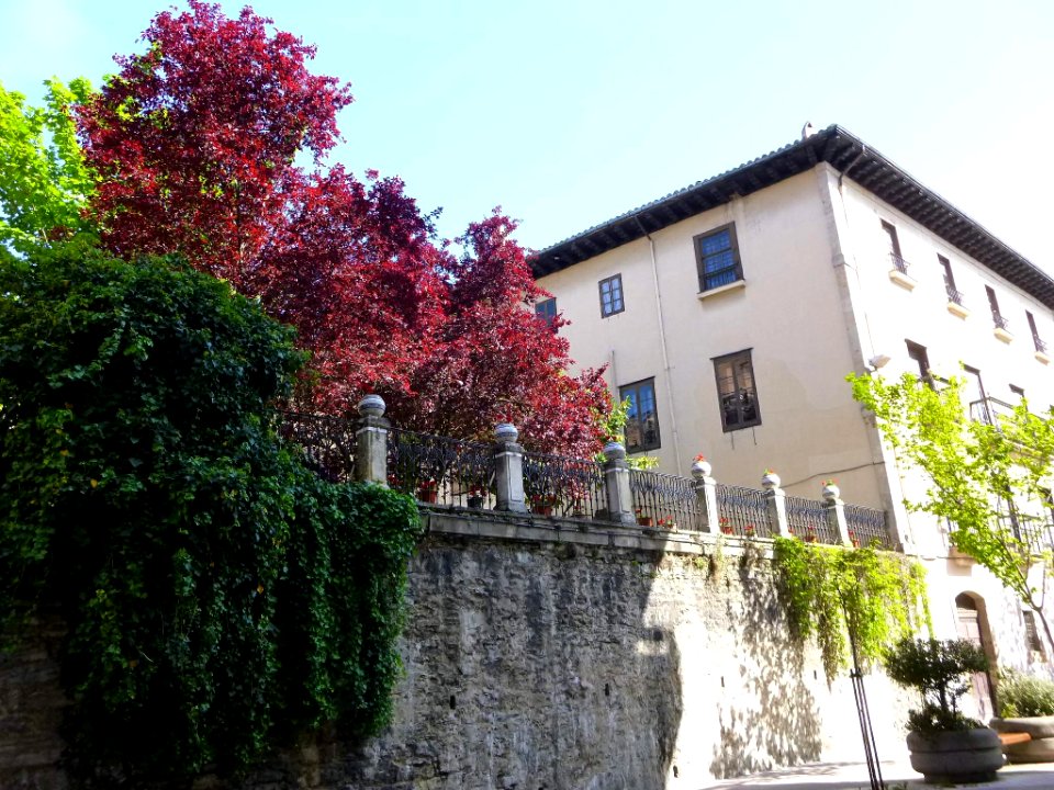 Vitoria - Palacio del Marqués de Alameda 2