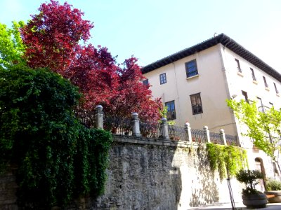 Vitoria - Palacio del Marqués de Alameda 2