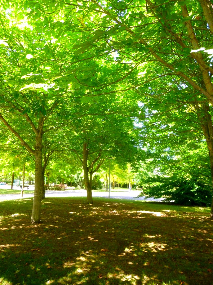 Vitoria - Parque de Ariznavarra 2