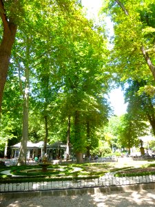 Vitoria - Parque de la Florida (28 junio 2020) 1
