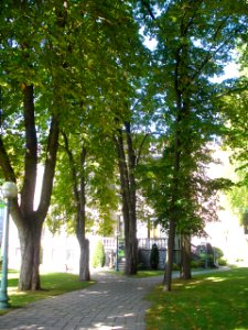 Vitoria - Palacio de Zulueta 10