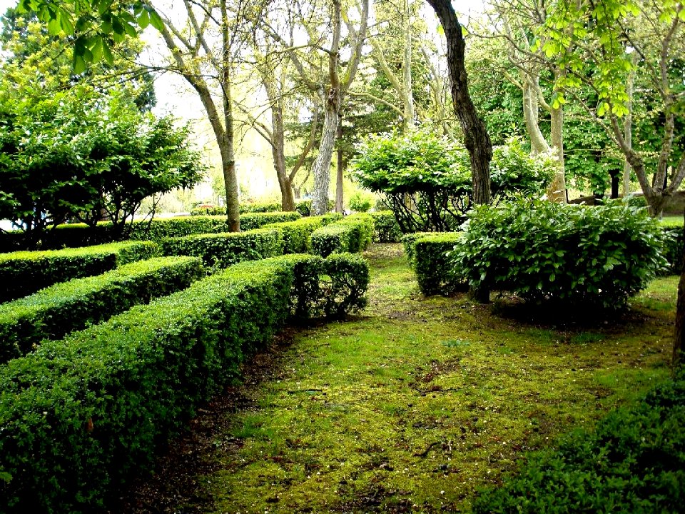 Vitoria - Parque de Arana