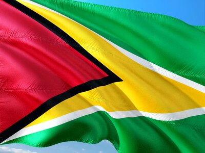 Flag guyana south america