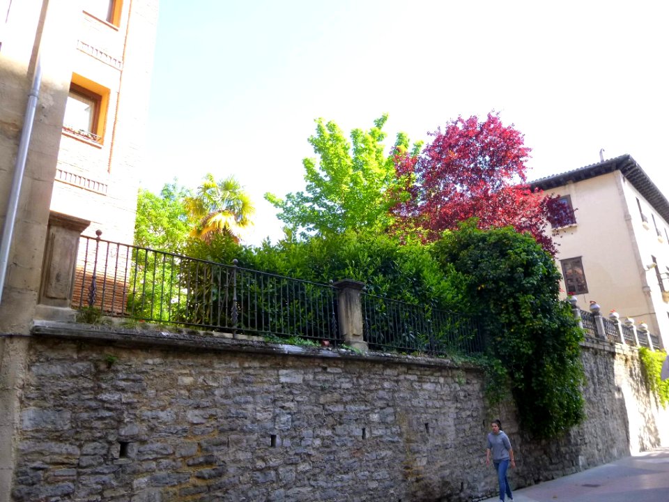 Vitoria - Palacio del Marqués de Alameda 3