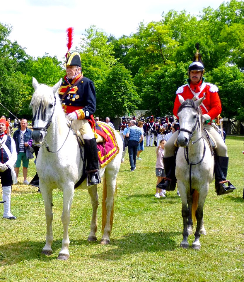 Vitoria - II Recreación histórica de la Batalla de Vitoria (1813), campas de Olárizu, 29-06-2014 - 034