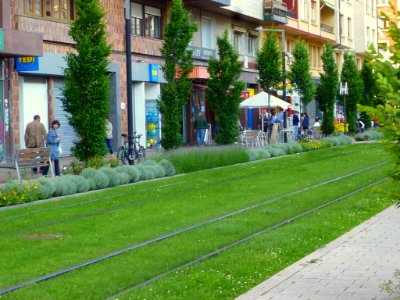 Vitoria - Tramo del Tranvía en la Avenida de Gasteiz