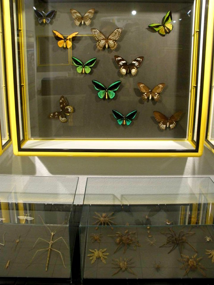 Vitoria - Museo de Ciencias Naturales de Álava 3