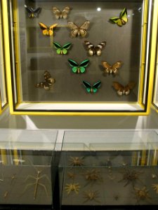 Vitoria - Museo de Ciencias Naturales de Álava 3