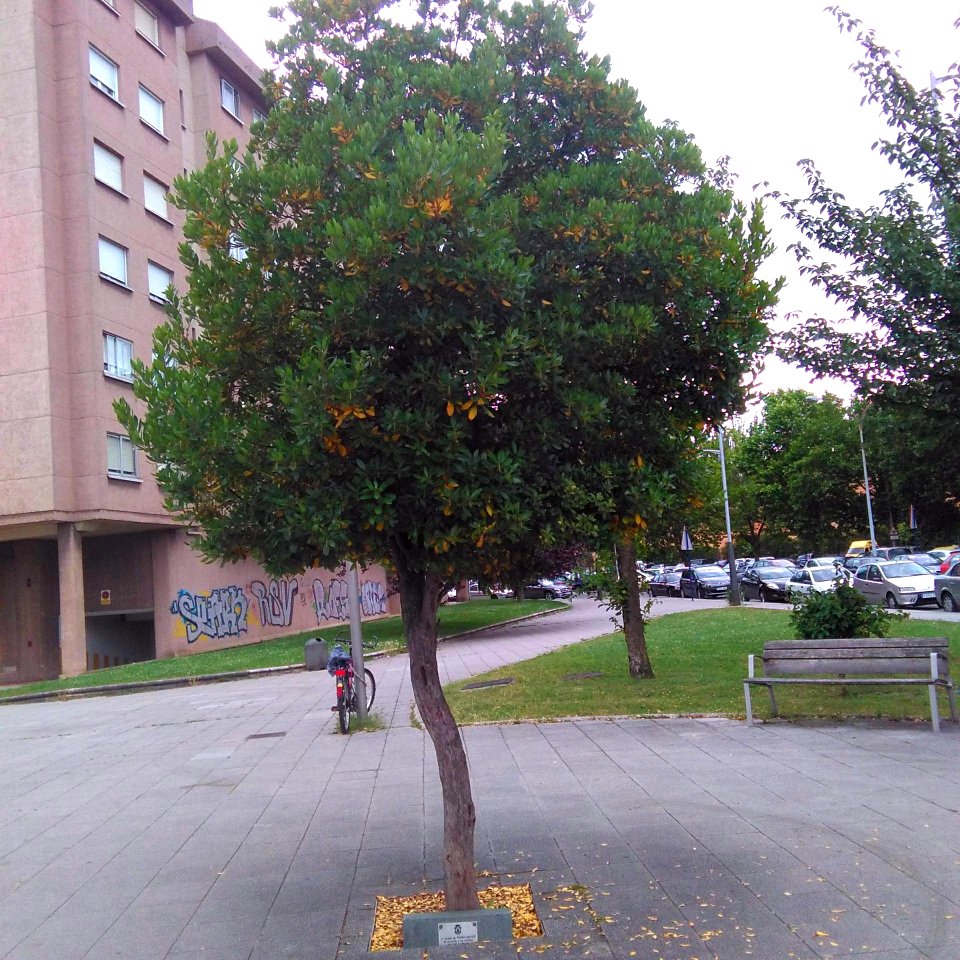 Vitoria - La ciudad de Vitoria en recuerdo a las víctimas del 11-M en Madrid