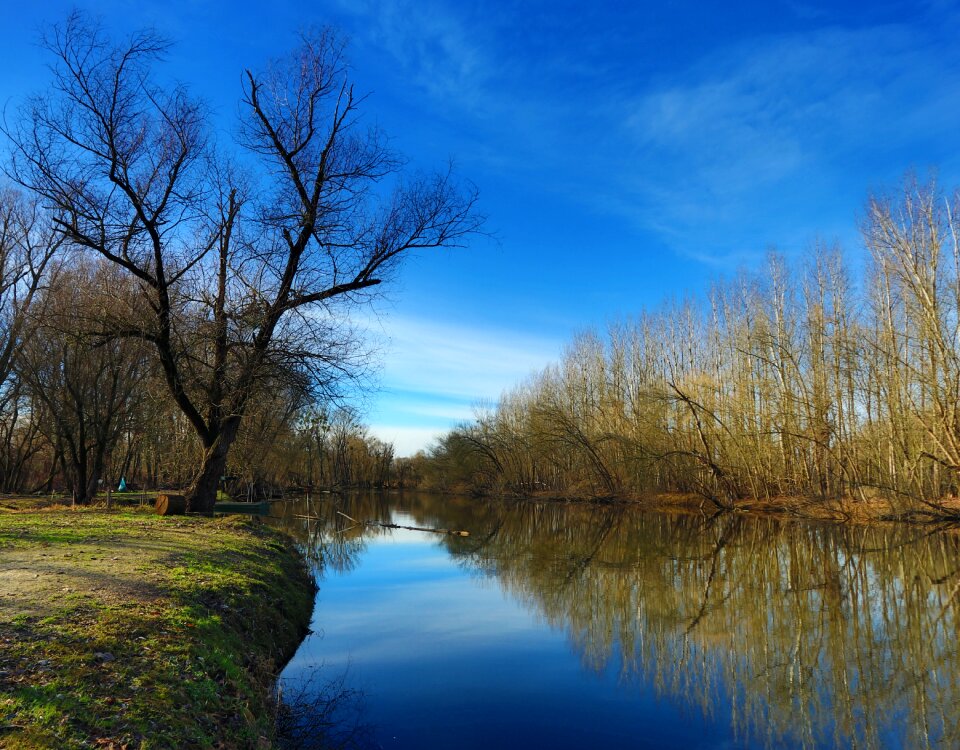 Landscape backwater condors water