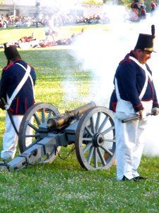 Vitoria - Recreación histórica de la Batalla de Vitoria, bicentenario 1813-2013 127a