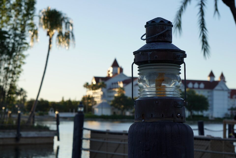 Disney luau palm trees