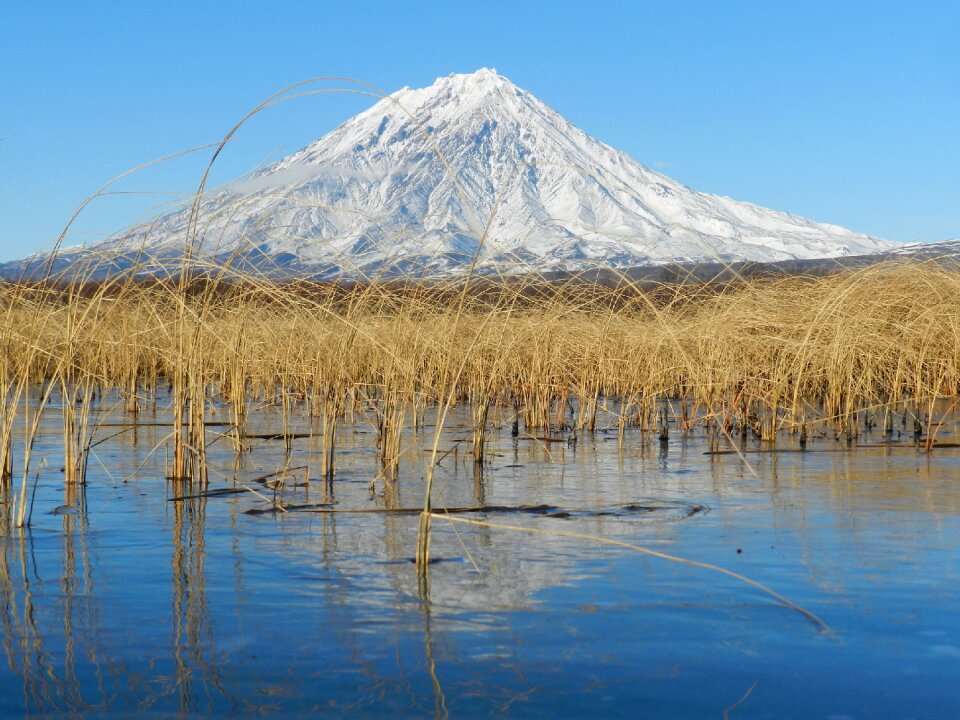 Snow golden grass landscape