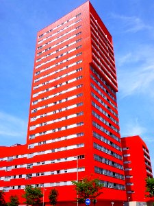 Vitoria - Salburua 242 (21)