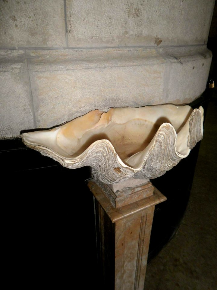 Vitoria - Iglesia de San Vicente Mártir 14