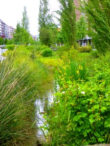 Vitoria - Avenida de Gasteiz, río Batán 34