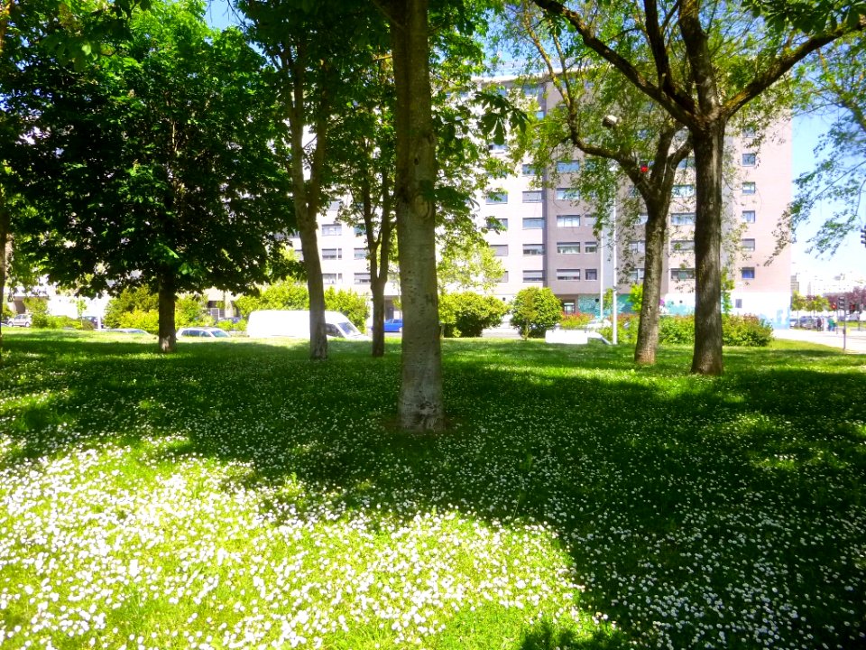 Vitoria - Armentia 22