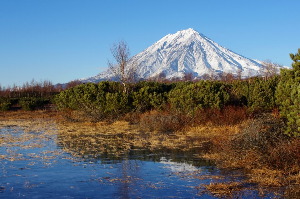 Snow golden grass landscape