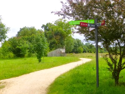 Vitoria - Anillo Verde, tramo Gamarra-Eskalmendi 4