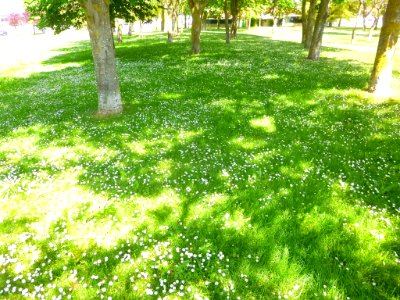 Vitoria - Armentia 23
