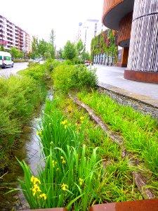 Vitoria - Avenida de Gasteiz, río Batán 31