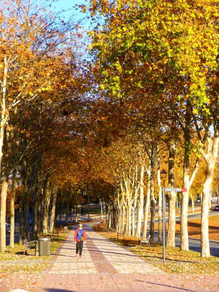 Vitoria - Avenida de San Prudencio 1
