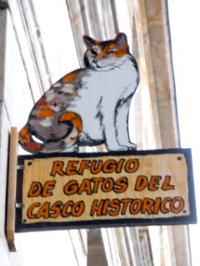 Vitoria - Antiguo refugio de gatos del Casco Histórico, en el Campillo 02