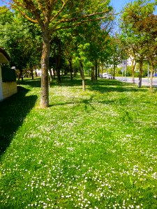 Vitoria - Armentia 21