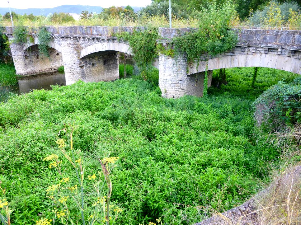 Vitoria - Astegieta - río Zadorra 2