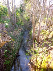 Vitoria - Arroyo del Batán 1