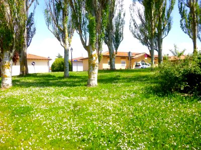 Vitoria - Armentia 25