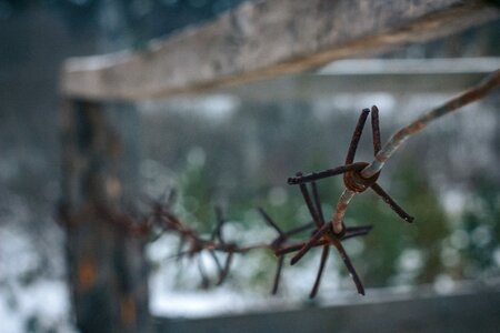 Depth of field barb fence photo