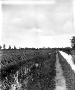 Visserij, viskwekerijen, haver, Bestanddeelnr 164-0347
