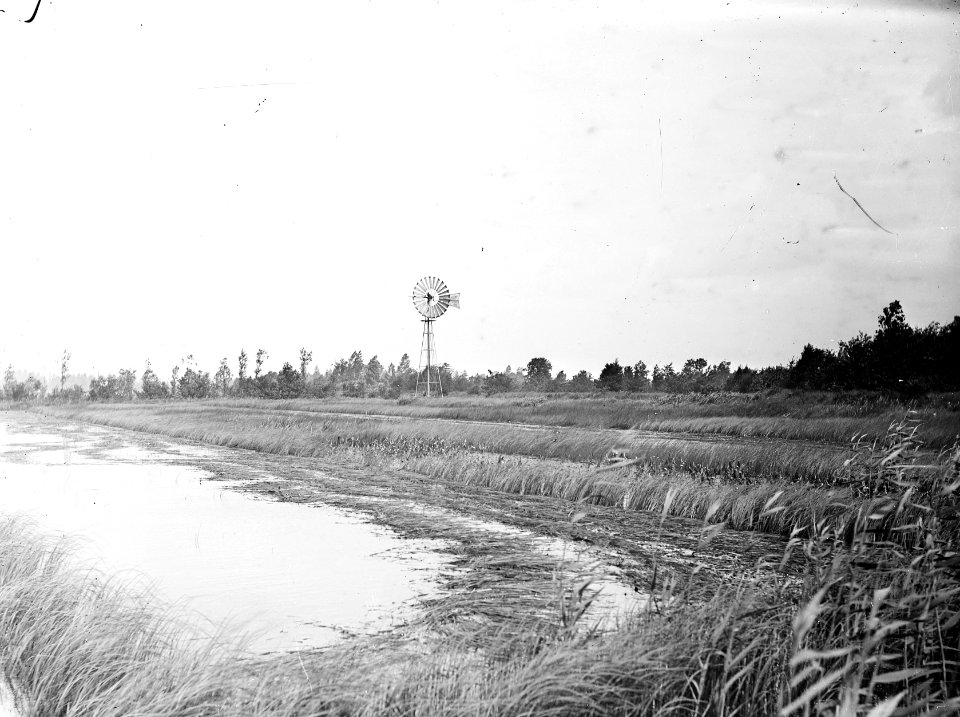 Visserij, groeivijvers, Bestanddeelnr 192-0823