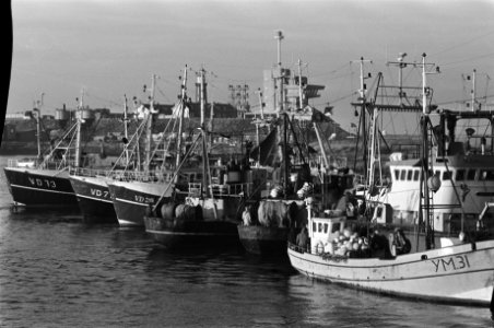 Vissers blokkeren havens van Lauwersoog en IJmuiden als protest tegen het afgeko, Bestanddeelnr 933-1688
