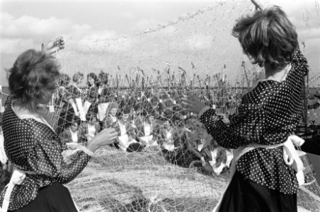 Visserijdag in Den Oever Het boeten van de netten in Wierings costuum, Bestanddeelnr 915-4945