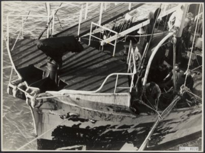 Visserij Walvisvangst, Bestanddeelnr 036-0174