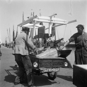 Visserij op Texel, Bestanddeelnr 901-7876