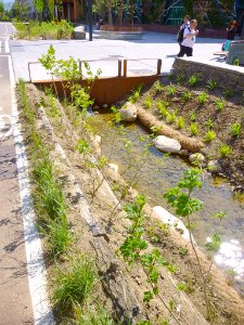 Vitoria - Avenida de Gasteiz, río Batán 06