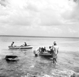 Vissers aan de Sint Michielsbaai aan de Zuidkust van Curaçao, Bestanddeelnr 252-7510