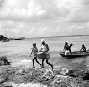 Vissers aan de Sint Michielsbaai aan de Zuidkust van Curaçao, Bestanddeelnr 252-7512