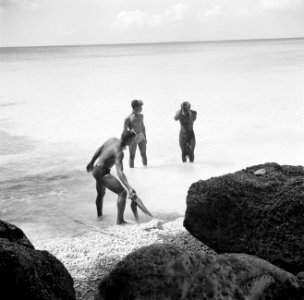 Vissers aan de Sint Michielsbaai aan de Zuidkust van Curaçao, Bestanddeelnr 252-7522