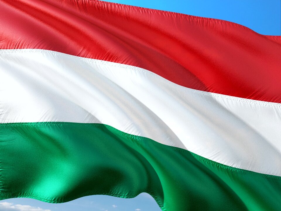 International flag ireland
