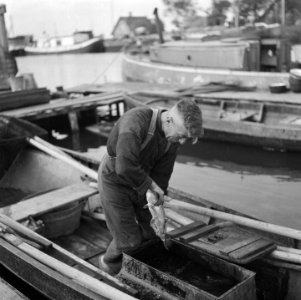 Vissers van de Wieringermeer, Bestanddeelnr 900-8646