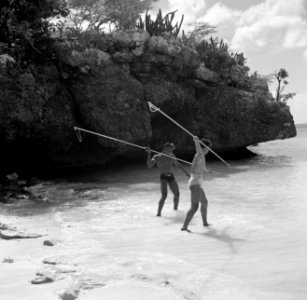 Vissers met speren aan de Sint Michielsbaai aan de Zuidkust van Curaçao, Bestanddeelnr 252-7519