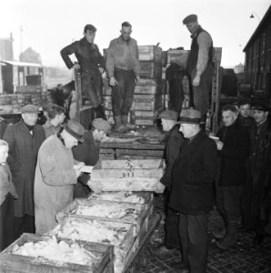 Visafslag IJmuiden, Bestanddeelnr 901-3855